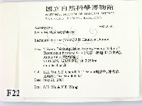 登錄號:F0022533藏品圖，第2張