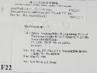 登錄號:F0022534藏品圖，第2張