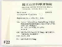 登錄號:F0022535藏品圖，第2張