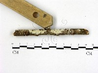 登錄號:F0022535藏品圖，第3張