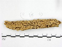 登錄號:F0022538藏品圖，第1張