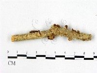 登錄號:F0022539藏品圖，第1張