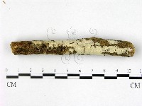 登錄號:F0022540藏品圖，第1張