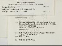 登錄號:F0022543藏品圖，第2張