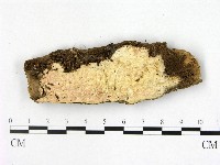 登錄號:F0022543藏品圖，第1張