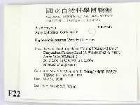 登錄號:F0022545藏品圖，第2張