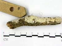 登錄號:F0022545藏品圖，第1張