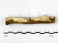 登錄號:F0022546藏品圖，第1張