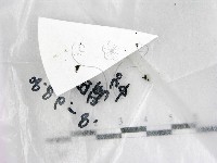 登錄號:F0022548藏品圖，第1張