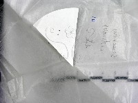 登錄號:F0022550藏品圖，第1張