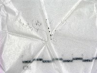 登錄號:F0022551藏品圖，第1張