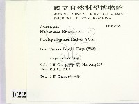 登錄號:F0022552藏品圖，第2張