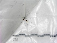 登錄號:F0022553藏品圖，第1張