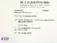 登錄號:F0022555藏品圖，第2張