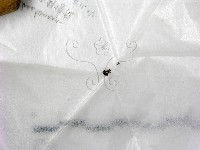 登錄號:F0022555藏品圖，第1張