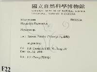 登錄號:F0022556藏品圖，第2張