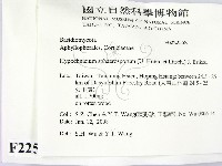 登錄號:F0022558藏品圖，第2張