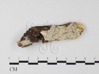 登錄號:F0022559藏品圖，第1張