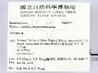 纖孔菌屬藏品圖，第2張