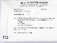 刺皮菌屬藏品圖，第2張