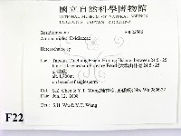 刺皮菌屬藏品圖，第2張