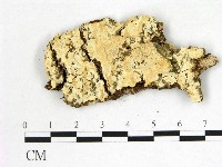 登錄號:F0022568藏品圖，第1張