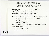 登錄號:F0022569藏品圖，第2張