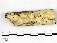 登錄號:F0022569藏品圖，第1張