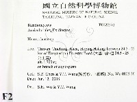 刺皮菌屬藏品圖，第2張
