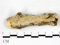 登錄號:F0022571藏品圖，第1張