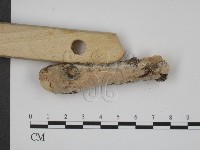 登錄號:F0022571藏品圖，第3張
