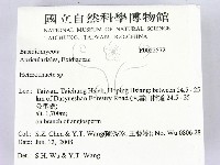 刺皮菌屬藏品圖，第2張