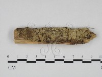 登錄號:F0022574藏品圖，第1張