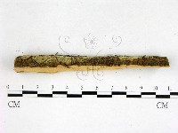 登錄號:F0022574藏品圖，第3張