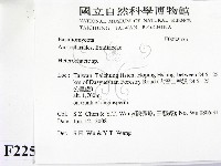 刺皮菌屬藏品圖，第2張