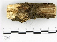 登錄號:F0022576藏品圖，第3張