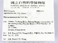 登錄號:F0022577藏品圖，第2張