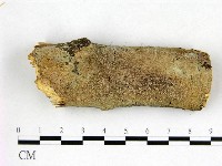 登錄號:F0022577藏品圖，第1張