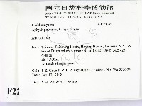 薄孔菌屬藏品圖，第2張