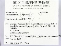 雲芝藏品圖，第2張
