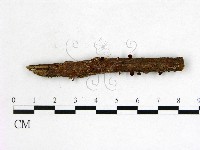 登錄號:F0022580藏品圖，第1張