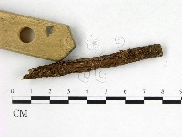 登錄號:F0022580藏品圖，第3張