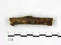 登錄號:F0022581藏品圖，第1張
