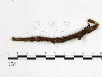 登錄號:F0022582藏品圖，第1張