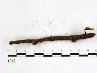 登錄號:F0022582藏品圖，第3張