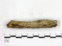 登錄號:F0022583藏品圖，第1張