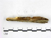 登錄號:F0022583藏品圖，第3張