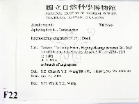 剛毛絲皮菌藏品圖，第2張