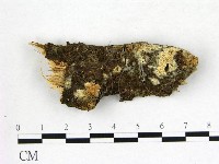 登錄號:F0022588藏品圖，第1張