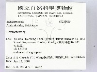 刺皮菌屬藏品圖，第2張